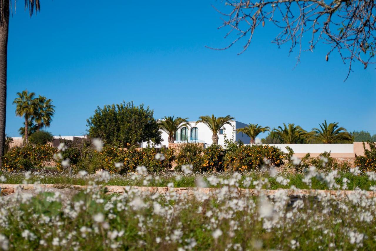 Agroturismo Safragell Ibiza Suites & Spa Sant Llorenc de Balafia Dış mekan fotoğraf